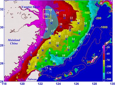 Reoxygenation of the Hypoxia in the East China Sea: A Ventilation Opening for Marine Life